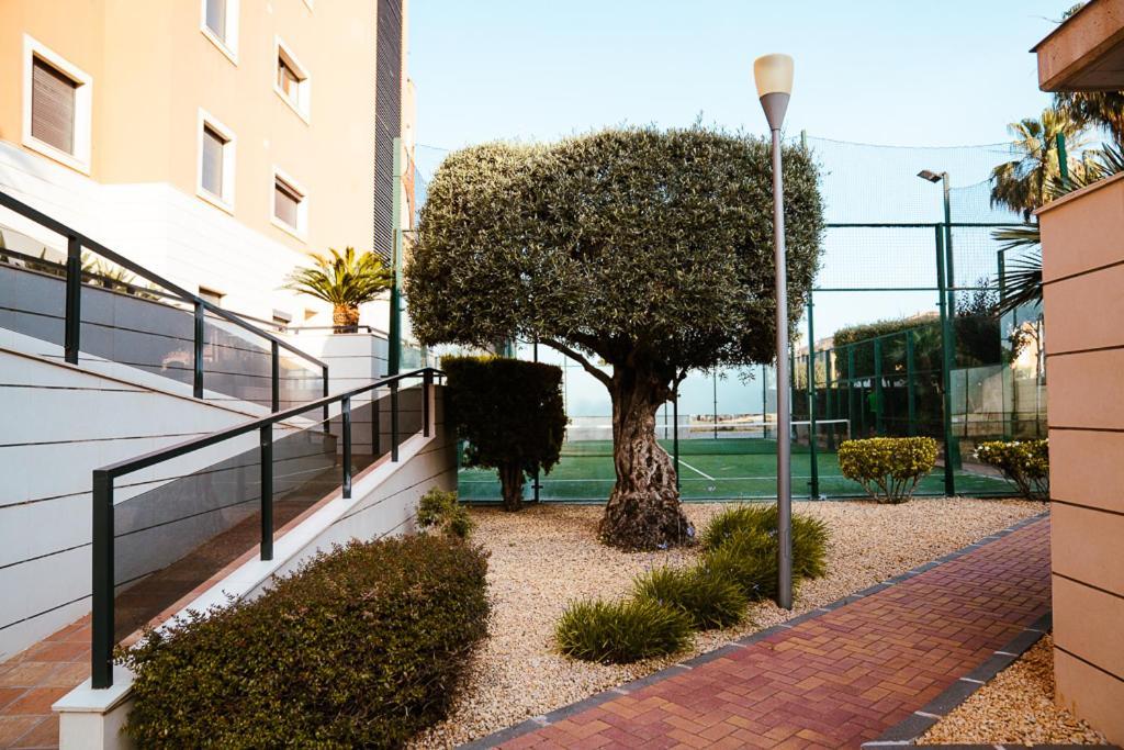 Sol Denia Apartamento Exterior foto